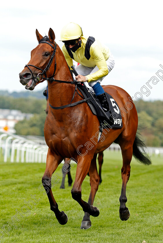 Maamora-0002 
 MAAMORA (William Buick) winner of The Betway Atalanta Stakes
Sandown 23 Aug 2020 - Pic Steven Cargill / Racingfotos.com