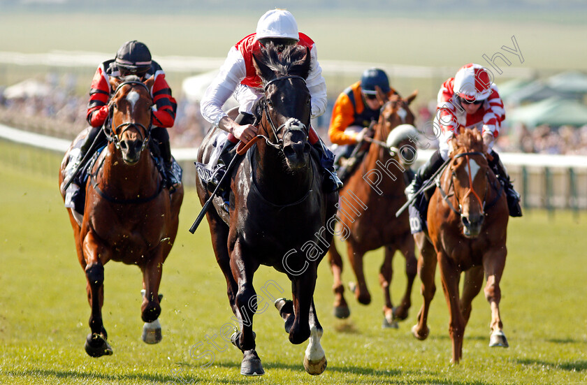 Konchek-0003 
 KONCHEK (Adam Kirby) wins The Havana Gold Maiden Stakes Newmarket 6 May 2018 - Pic Steven Cargill / Racingfotos.com