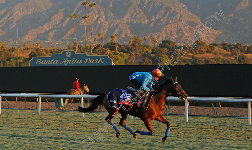 Fanny-Logan-0002 
 FANNY LOGAN (Frankie Dettori) training for the Breeders' Cup Filly & Mare Turf
Santa Anita USA 30 Oct 2019 - Pic Steven Cargill / Racingfotos.com