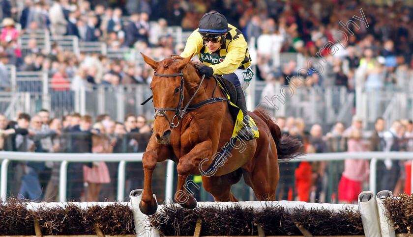 Dancing-City-0001 
 DANCING CITY (Paul Townend) wins The Cavani Sartorial Menswear Sefton Novices Hurdle
Aintree 12 Apr 2024 - Pic Steven Cargill / Racingfotos.com