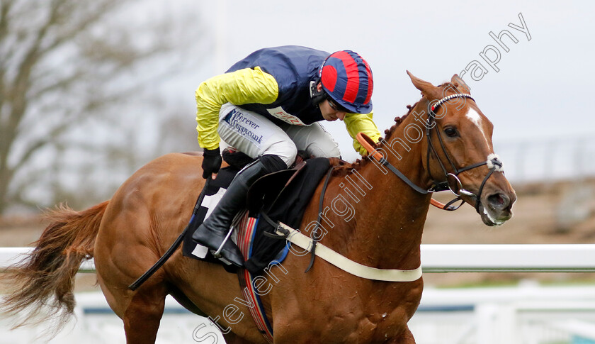 Pic-Roc-0004 
 PIC ROC (Ben Jones) wins The Ascot Shop Novices Hurdle
Ascot 17 Feb 2024 - Pic Steven Cargill / Racingfotos.com