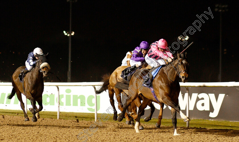 Swiss-Storm-0002 
 SWISS STORM (David Probert) wins The Betway Handicap
Wolverhampton 26 Feb 2019 - Pic Steven Cargill / Racingfotos.com