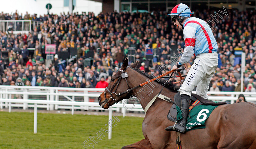 Simply-The-Betts-0010 
 SIMPLY THE BETTS (Gavin Sheehan) wins The Brown Advisory & Merriebelle Stable Plate
Cheltenham 12 Mar 2020 - Pic Steven Cargill / Racingfotos.com