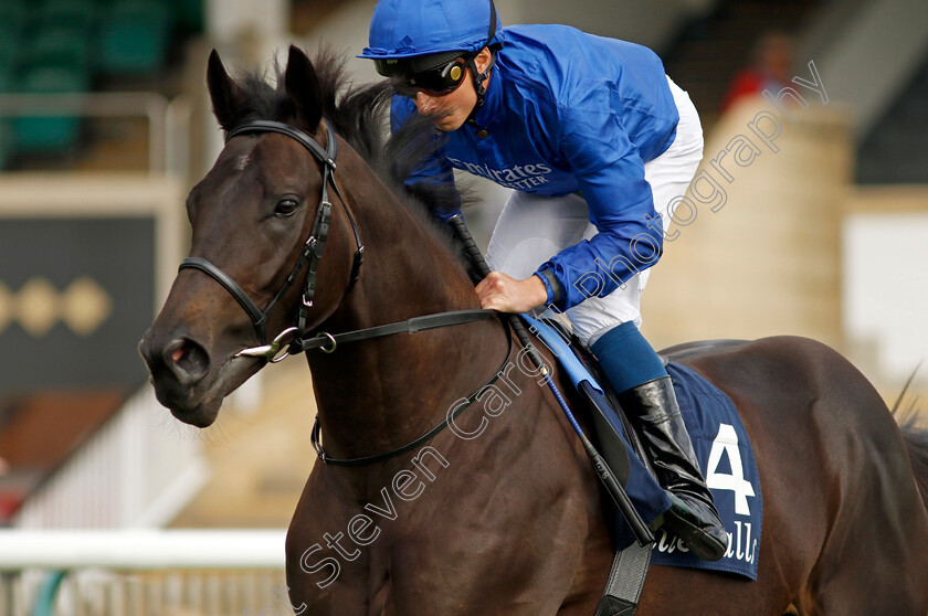 Victory-Dance-0002 
 VICTORY DANCE (William Buick)
Newmarket 22 Sep 2022 - Pic Steven Cargill / Racingfotos.com