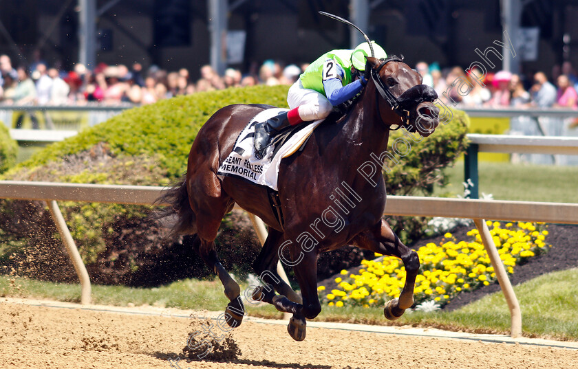 Final-Form-0002 
 FINAL FORM (Trevor McCarthy)
Pimlico, Baltimore USA, 17 May 2019 - Pic Steven Cargill / Racingfotos.com