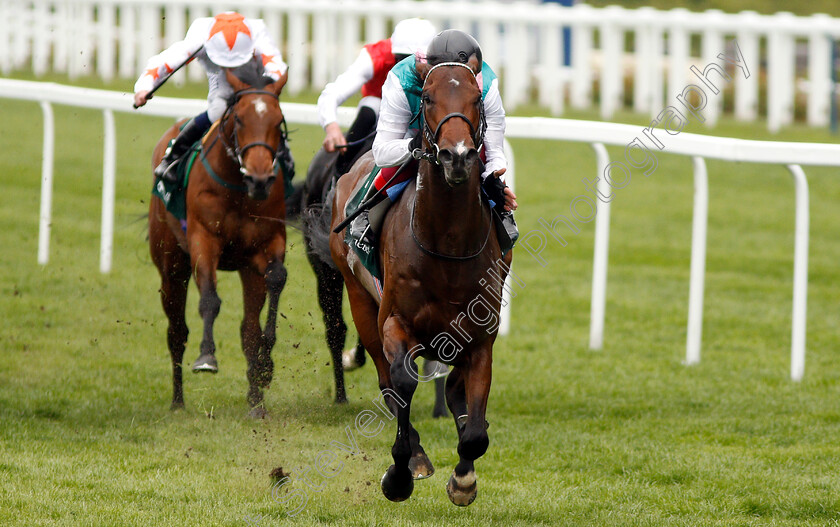 Calyx-0002 
 CALYX (Frankie Dettori) wins The Merriebelle Stable Commonwealth Cup Trial Stakes
Ascot 1 May 2019 - Pic Steven Cargill / Racingfotos.com