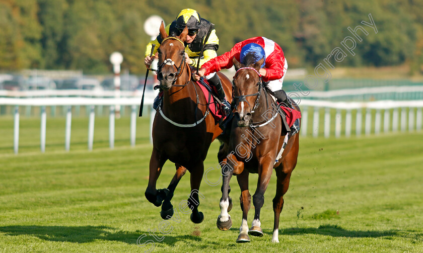 Persist-0004 
 PERSIST (right, Tom Marquand) beats ANGELS LANDING (left) in The British EBF Reprocolor Premier Fillies Handicap
Haydock 1 Sep 2022 - Pic Steven Cargill / Racingfotos.com