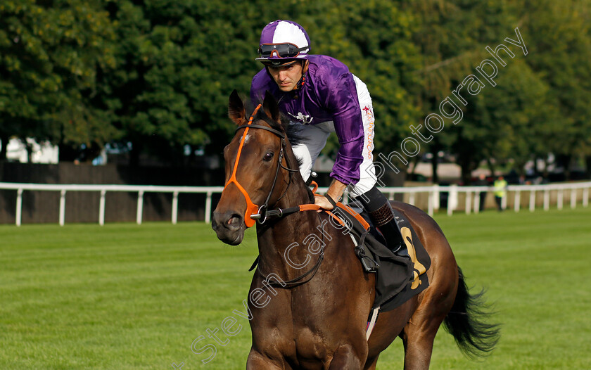 She-Is-A-Keeper-0001 
 SHE IS A KEEPER (Kevin Stott)
Newmarket 28 Jul 2023 - Pic Steven Cargill / Racingfotos.com