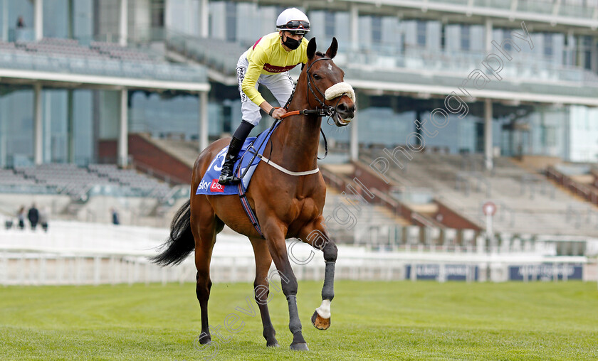 Maifalki-0001 
 MAIFALKI (Ben Robinson)
York 12 May 2021 - Pic Steven Cargill / Racingfotos.com