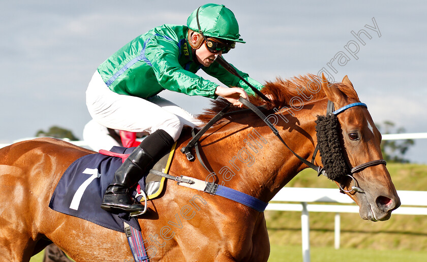 Castlerea-Tess-0005 
 CASTLEREA TESS (Rob Hornby) wins The comparebettingsites.com Best Betting Site Handicap
Chepstow 2 Jul 2019 - Pic Steven Cargill / Racingfotos.com