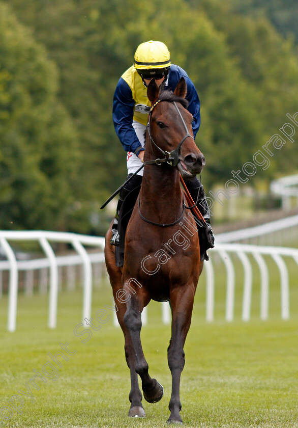 Point-Lynas-0001 
 POINT LYNAS (Tom Marquand)
Newmarket 24 Jun 2021 - Pic Steven Cargill / Racingfotos.com