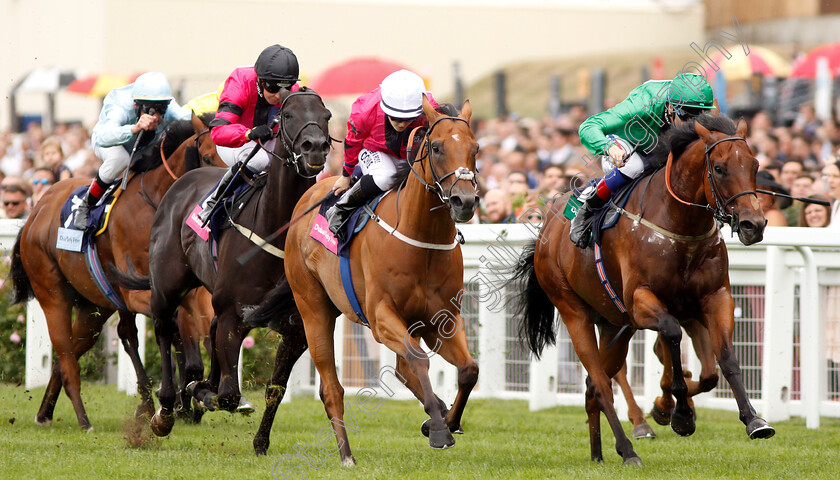 Tis-Marvellous-0001 
 TIS MARVELLOUS (centre, Hollie Doyle) beats GRACIOUS JOHN (right) in The Dubai Duty Free Shergar Cup Dash
Ascot 11 Aug 2018 - Pic Steven Cargill / Racingfotos.com