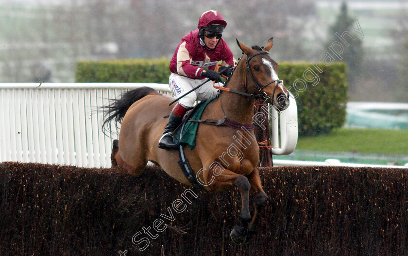 Ozzie-The-Oscar-0001 
 OZZIE THE OSCAR (Richard Johnson) wins The Cheltenham Club Handicap Chase
Cheltenham 15 Dec 2018 - Pic Steven Cargill / Racingfotos.com