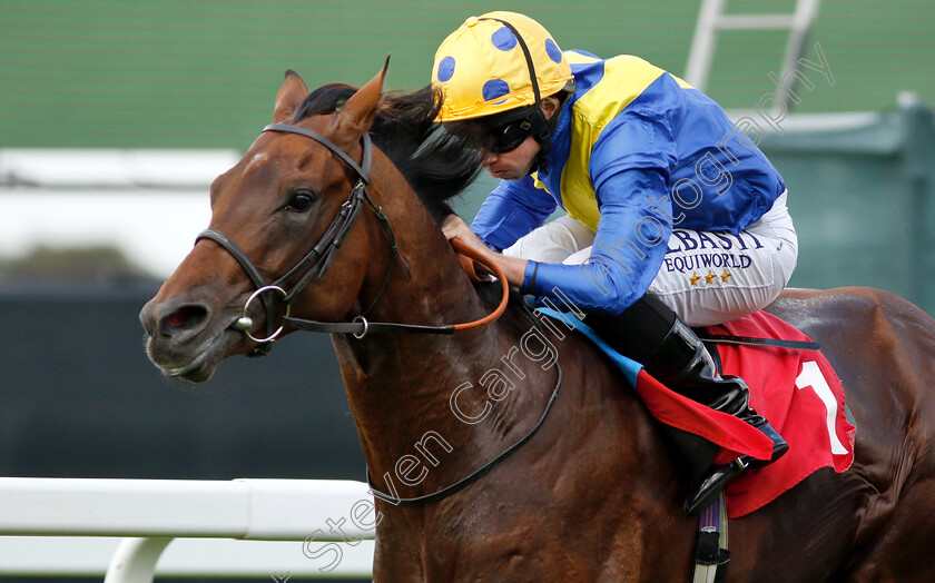 Almania-0004 
 ALMANIA (Ryan Moore) wins The Bet & Watch At 188bet.co.uk EBF Maiden Stakes
Sandown 31 Aug 2018 - Pic Steven Cargill / Racingfotos.com