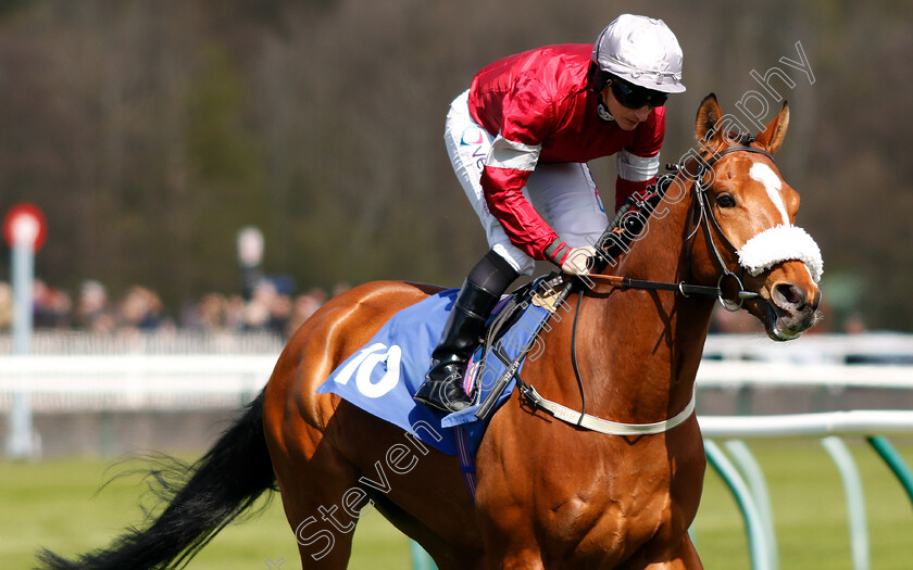 Piper-Arrow-0001 
 PIPER ARROW (P J McDonald)
Nottingham 10 Apr 2019 - Pic Steven Cargill / Racingfotos.com