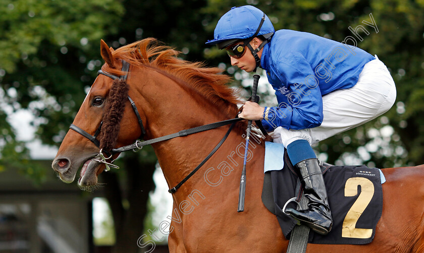 One-Nation-0002 
 ONE NATION (William Buick) winner of The Join Racing TV Now Nursery
Newmarket 22 Jul 2022 - Pic Steven Cargill / Racingfotos.com