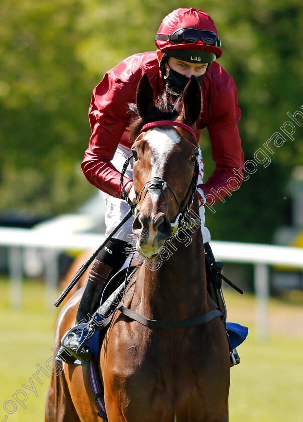 Franklet-0001 
 FRANKLET (Robert Havlin) winner of The Mansionbet Beaten By A Head Maiden Stakes
Salisbury 8 Jun 2021 - Pic Steven Cargill / Racingfotos.com