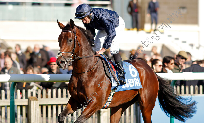 Treasure-Isle-0002 
 TREASURE ISLE (Ryan Moore)
Newmarket 11 Oct 2024 - Pic Steven Cargill / Racingfotos.com