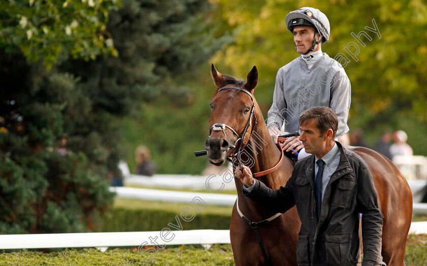 Higher-Kingdom-0001 
 HIGHER KINGDOM (Daniel Tudhope) before The Close Brothers British Stallion Studs EBF Novice Stakes 
Kempton 9 Oct 2019 - Pic Steven Cargill / Racingfotos.com