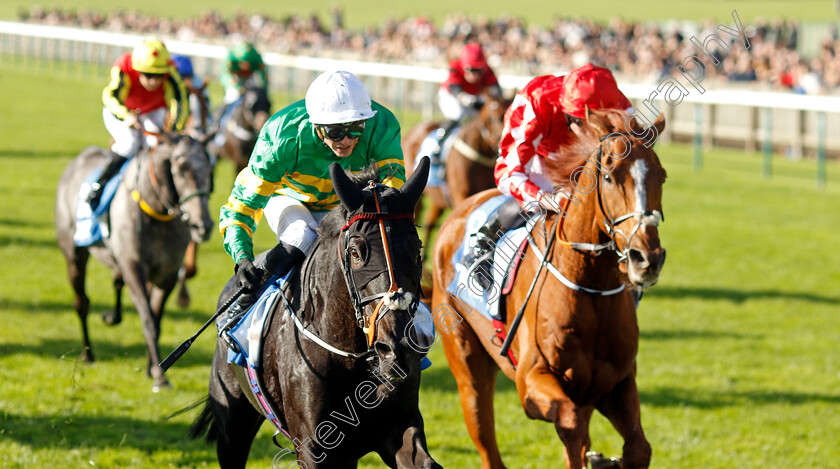 The-Shunter-0002 
 THE SHUNTER (James Doyle) wins The Club Godolphin Cesarewitch Handicap
Newmarket 14 Oct 2023 - Pic Steven Cargill / Racingfotos.com