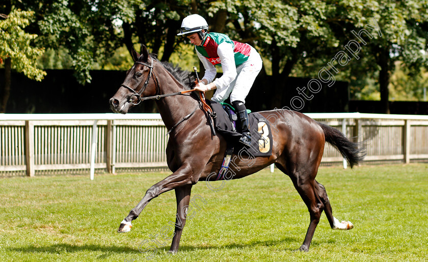 Girl-On-Film-0002 
 GIRL ON FILM (Rossa Ryan) winner of The Visit racingtv.com British EBF Newcomers Restricted Maiden Fillies Stakes
Newmarket 7 Aug 2021 - Pic Steven Cargill / Racingfotos.com