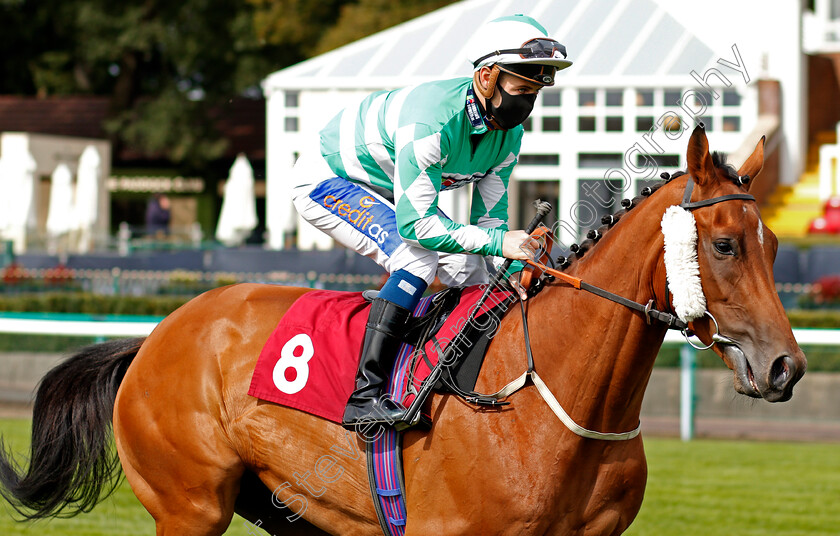 Herman-Hesse-0001 
 HERMAN HESSE (Shane Gray)
Haydock 4 Sep 2020 - Pic Steven Cargill / Racingfotos.com