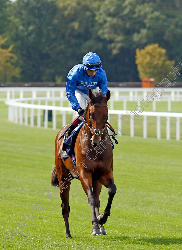 Olympic-Candle-0008 
 OLYMPIC CANDLE (Oisin Murphy) winner of The Charbonnel Et Walker British EBF Maiden Stakes
Ascot 8 Sep 2023 - Pic Steven Cargill / Racingfotos.com