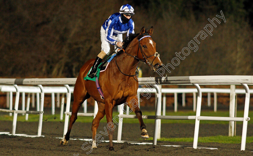 Top-Fox-0002 
 TOP FOX (Richard Kingscote) winner of The Unibet Casino Deposit £10 Get £40 Bonus Maiden Stakes
Kempton 24 Feb 2021 - Pic Steven Cargill / Racingfotos.com