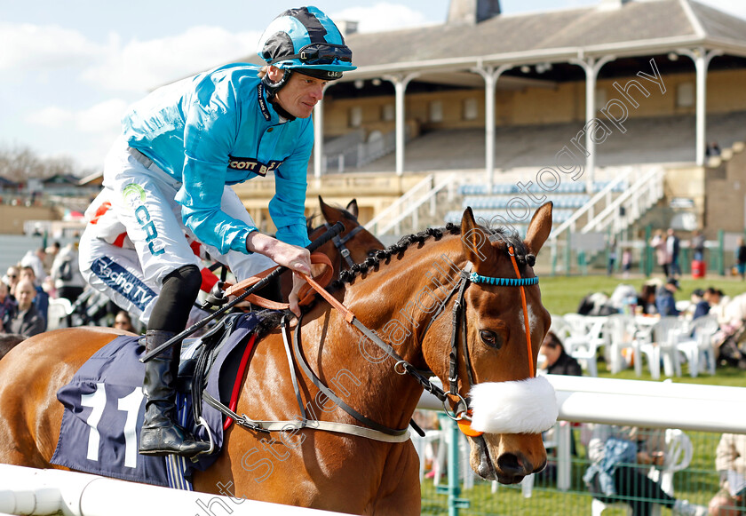 Tees-George-0001 
 TEES GEORGE (Barry McHugh)
Doncaster 2 Apr 2023 - Pic Steven Cargill / Racingfotos.com