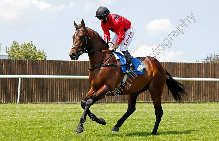 Kit-Gabriel-0001 
 KIT GABRIEL (Tom Marquand)
Leicester 1 Jun 2021 - Pic Steven Cargill / Racingfotos.com