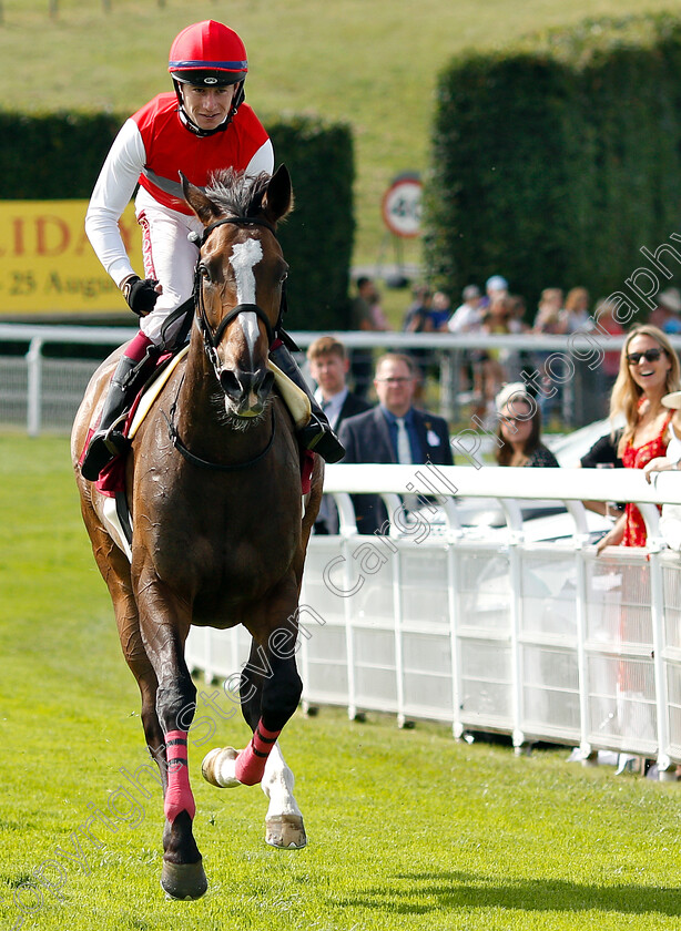 Deirdre-0012 
 DEIRDRE (Oisin Murphy) after The Qatar Nassau Stakes
Goodwood 1 Aug 2019 - Pic Steven Cargill / Racingfotos.com