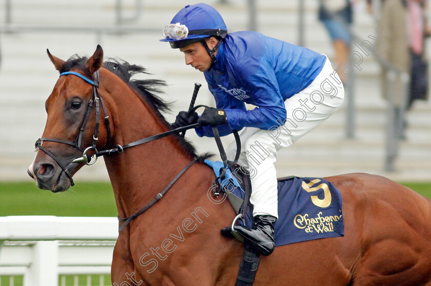 Fifth-Column-0001 
 FIFTH COLUMN (William Buick)
Ascot 6 Sep 2024 - Pic Steven Cargill / Racingfotos.com