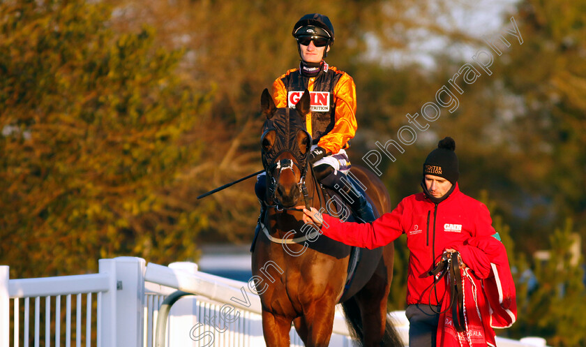 Starshiba-0002 
 STARSHIBA (Daniel Muscutt)
Lingfield 21 Jan 2023 - Pic Steven Cargill / Racingfotos.com