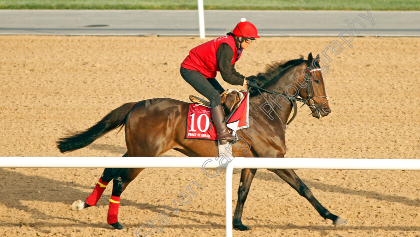 Prince-Of-Arran-0001 
 PRINCE OF ARRAN exercising in preparation for The Dubai Gold Cup Meydan 29 Mar 2018 - Pic Steven Cargill / Racingfotos.com