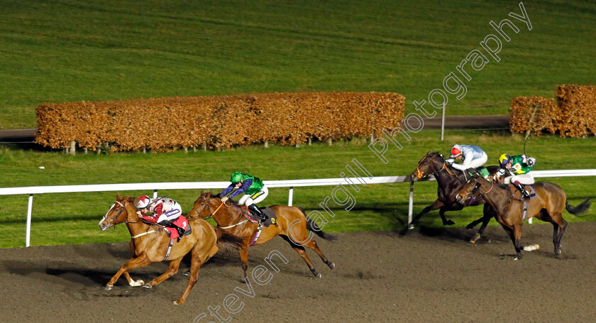 Tennessee-Gold-0005 
 TENNESSEE GOLD (Daniel Muscutt) wins The Unibet Handicap
Kempton 11 Dec 2024 - Pic Steven Cargill / Racingfotos.com