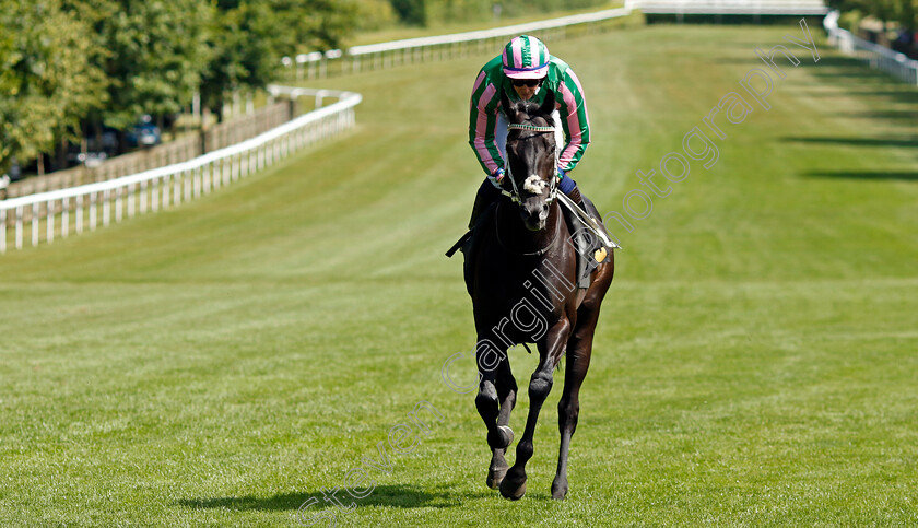 Pogo-0001 
 POGO (Jim Crowley)
Newmarket 29 Jun 2024 - Pic Steven Cargill / Racingfotos.com