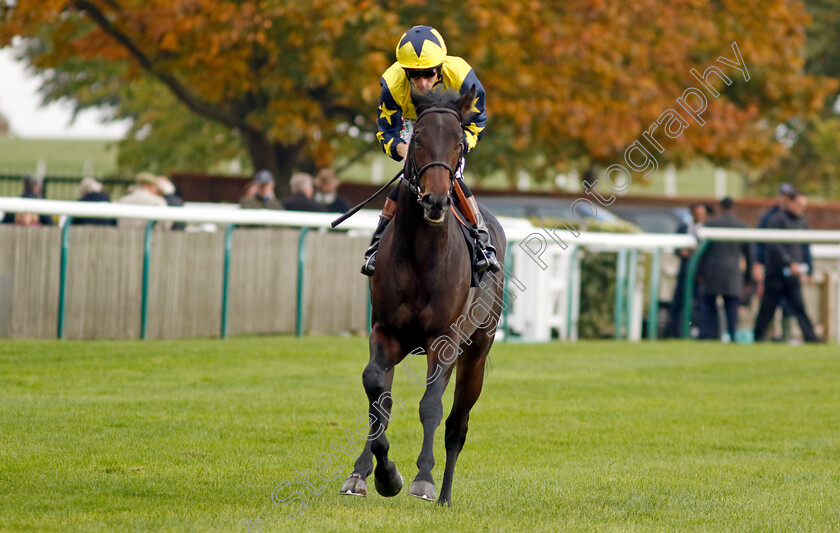 Cracker-Star-0001 
 CRACKER STAR (Finley Marsh)
Newmarket 25 Oct 2023 - Pic Steven Cargill / Racingfotos.com