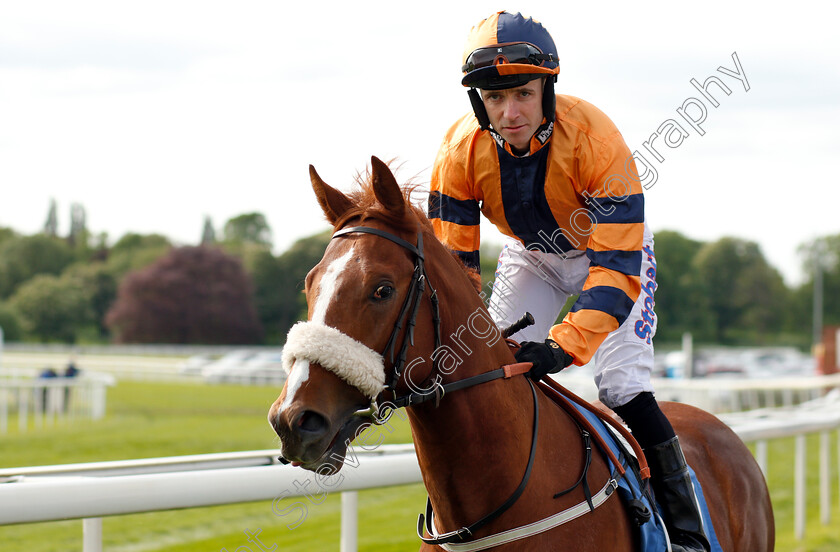 Sense-Of-Belonging-0001 
 SENSE OF BELONGING (Tom Eaves)
York 17 May 2018 - Pic Steven Cargill / Racingfotos.com