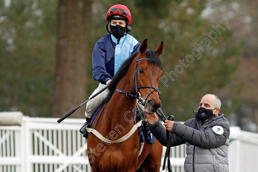 Spirituoso-0002 
 SPIRITUOSO (Georgia Dobie)
Lingfield 9 Jan 2021 - Pic Steven Cargill / Racingfotos.com