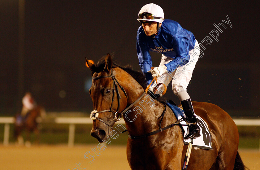 Don t-Give-Up-0001 
 DON'T GIVE UP (Gerald Mosse) before winning The EGA Potlines Trophy Handicap Meydan 25 Jan 2018 - Pic Steven Cargill / Racingfotos.com