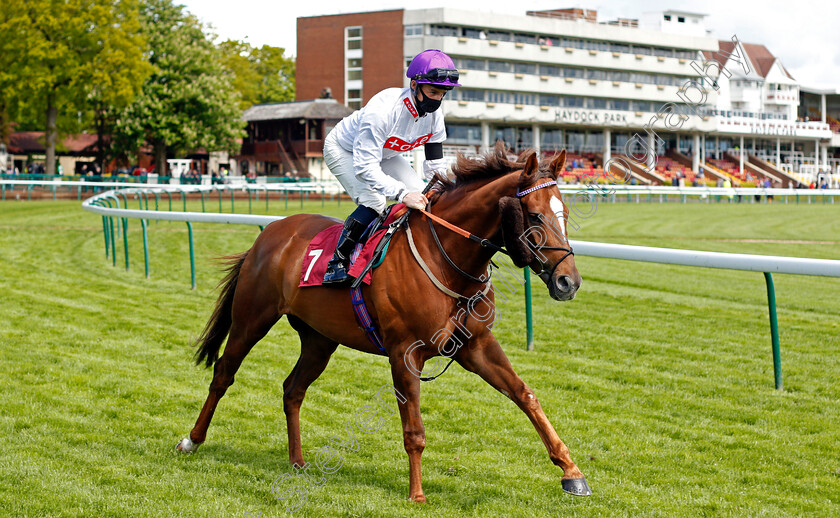 Stone-Soldier-0001 
 STONE SOLDIER (Adam McNamara)
Haydock 22 May 2021 - Pic Steven Cargill / Racingfotos.com