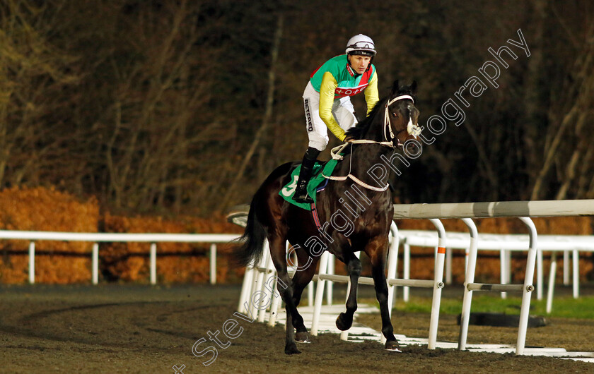 Blanchland-0003 
 BLANCHLAND (Richard Kingscote)
Kempton 13 Dec 2023 - Pic Steven Cargill / Racingfotos.com