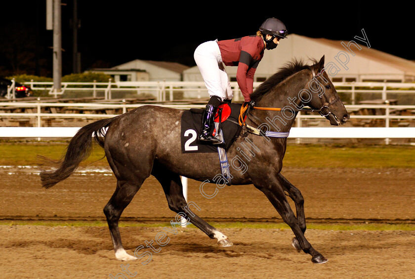 Irish-Master-0001 
 IRISH MASTER (Grace McEntee)
Chelmsford 22 Oct 2020 - Pic Steven Cargill / Racingfotos.com