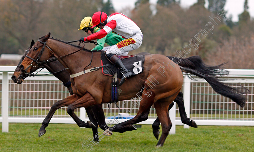 Mr-Medic-0004 
 MR MEDIC (nearside, James Best) beats ROCK ON ROCKY (farside) in The My Pension Expert Handicap Chse Ascot 23 Dec 2017 - Pic Steven Cargill / Racingfotos.com