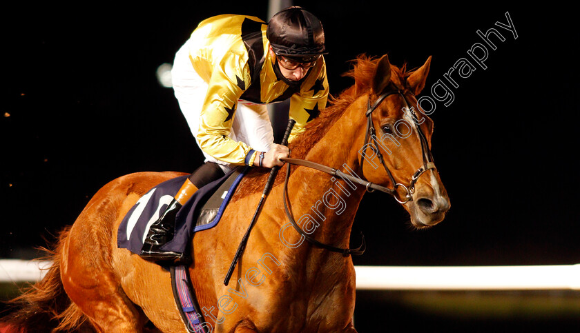 Eldelbar-0006 
 ELDELBAR (Sam James) wins The Bombardier British Hopped Amber Beer Handicap
Wolverhampton 1 Feb 2021 - Pic Steven Cargill / Racingfotos.com