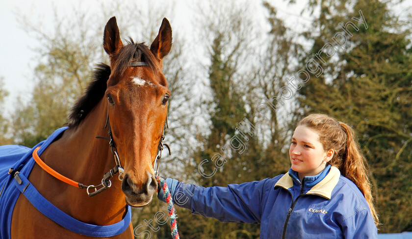 Cue-Card-0008 
 CUE CARD at Colin Tizzard's stables near Sherborne 21 Feb 2018 - Pic Steven Cargill / Racingfotos.com