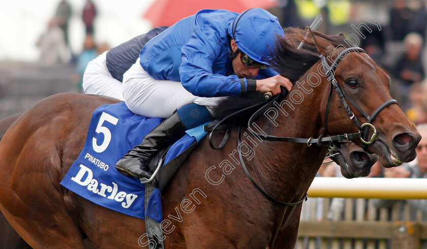 Pinatubo-0008 
 PINATUBO (William Buick) wins The Darley Dewhurst Stakes
Newmarket 12 Oct 2019 - Pic Steven Cargill / Racingfotos.com