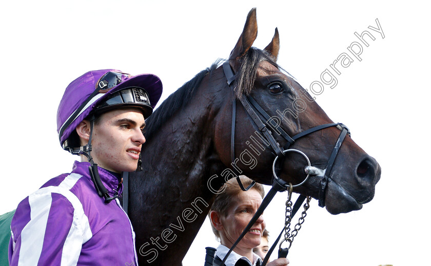 Ten-Sovereigns-0012 
 TEN SOVEREIGNS (Donnacha O'Brien) after The Juddmonte Middle Park Stakes
Newmarket 29 Sep 2018 - Pic Steven Cargill / Racingfotos.com