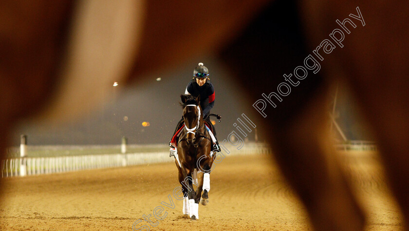 Life-Is-Good-0005 
 LIFE IS GOOD training for the Dubai World Cup
Meydan, Dubai, 23 Mar 2022 - Pic Steven Cargill / Racingfotos.com