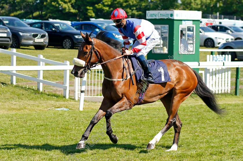 Marionette-0001 
 MARIONETTE (Joey Haynes)
Yarmouth 9 Jun 2021 - Pic Steven Cargill / Racingfotos.com